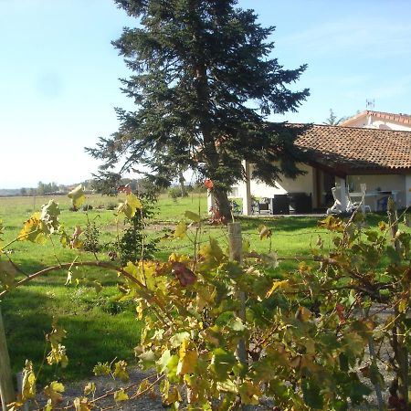 Location Gite 4 Personnes Mazeres - La Petite Maison エクステリア 写真