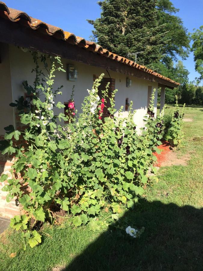 Location Gite 4 Personnes Mazeres - La Petite Maison エクステリア 写真