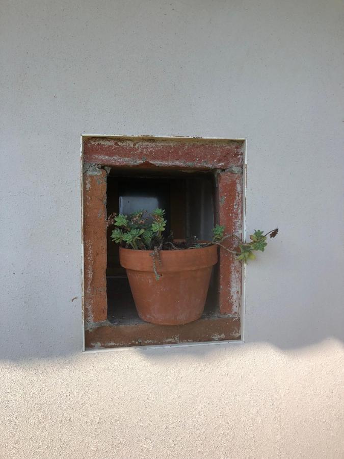 Location Gite 4 Personnes Mazeres - La Petite Maison エクステリア 写真
