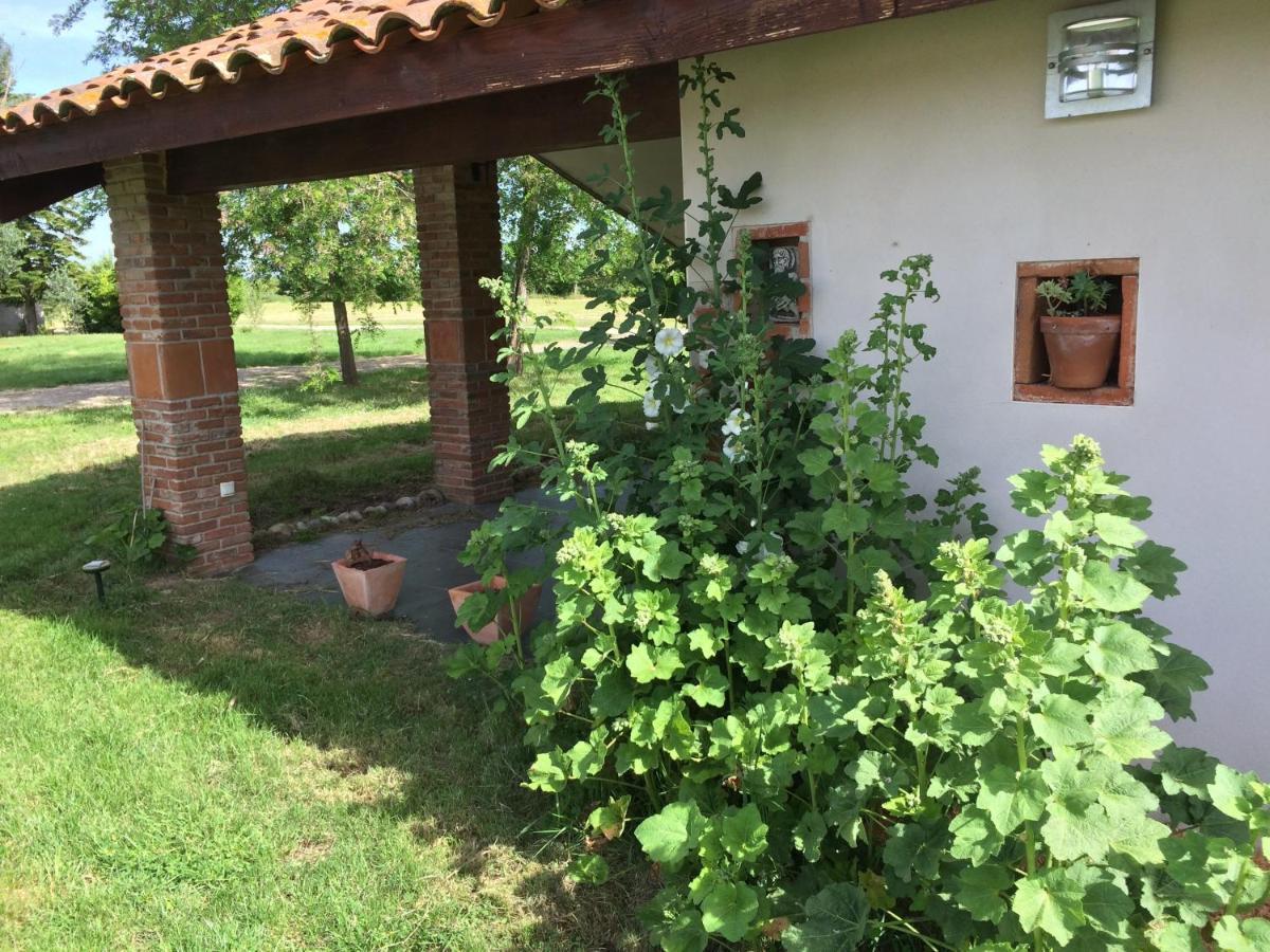 Location Gite 4 Personnes Mazeres - La Petite Maison エクステリア 写真
