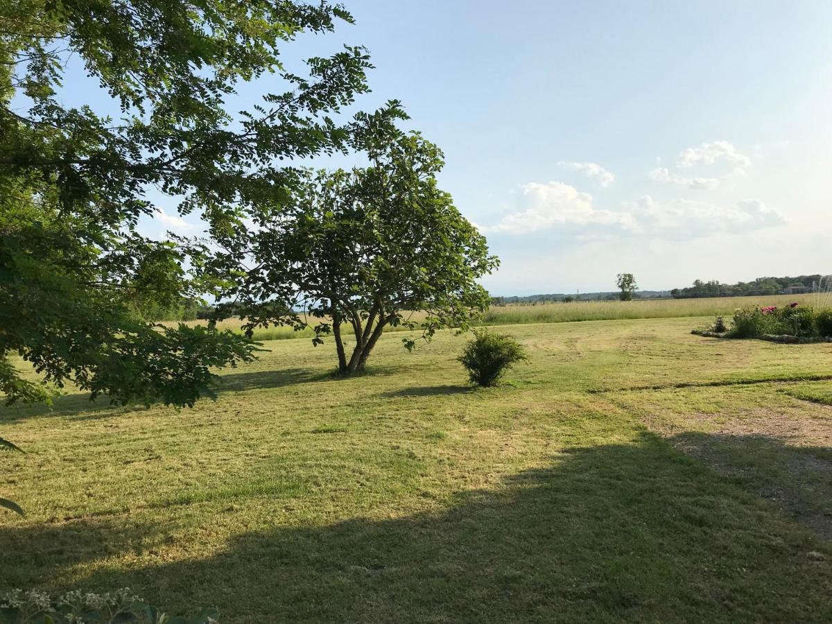 Location Gite 4 Personnes Mazeres - La Petite Maison エクステリア 写真